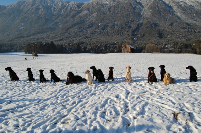 x-mas spaziergang