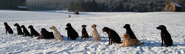 x-mas spaziergang