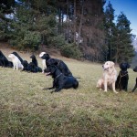 weihnachtsspaziergang2013_gruppe (4 von 5)