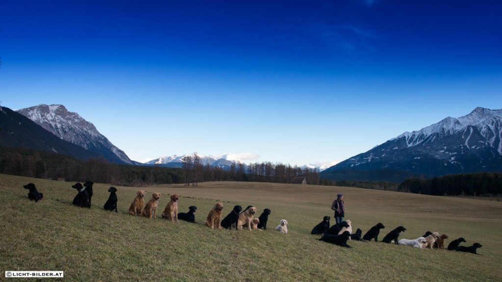 weihnachtsspaziergang2013_gruppe (5 von 5)